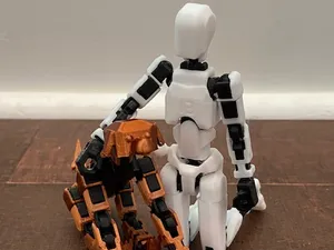Dummy 13 Dog