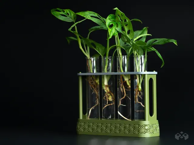 Kumiko Propagation Station | Test Tube Holder — Image 4 of 6