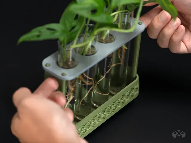 Kumiko Propagation Station | Test Tube Holder — Image 5 of 6