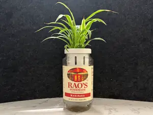 Sauce Jar Leca Basket for Semi-hydroponic Plants