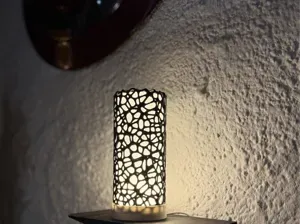 VENOM LAMP / VORONOI LAMP / LAMP KIT 001