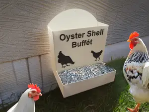 Oyster Shell Station for Chickens