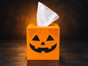 Pumpkin Tissue Box Cover – Snap-In Face - No AMS