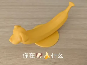 你在狗蕉什么?-多版本