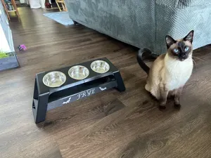 Dog/Cat food bowl holder