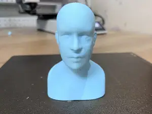一个标准人类头部模型A standard human head model