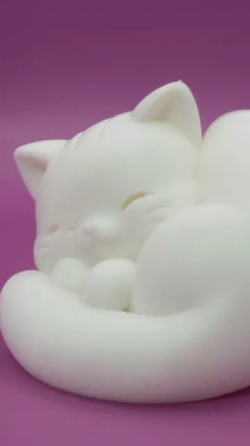 Cozy Curl Chonky Cat — Image 6 of 7