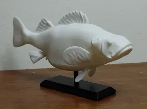 Perch Fish Mount 2