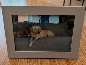 Picture Frame 4in X 6in