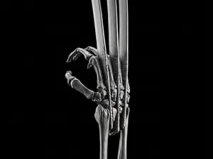 Escultura de Brazo de Wolverine para decoracion