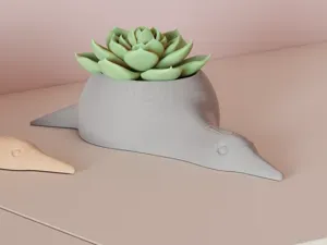 Succulent Plant Pot. Sleepy Duck Design