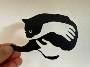 Cat in hand