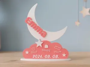 Customizable Newborn Baby Birth Plaque