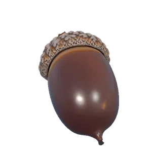 Squirrel-Approved Acorn Model