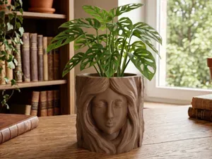 Tree Woman Face Wood Plant Pot & Organizer