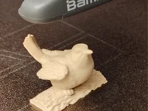 kleiner Vogel