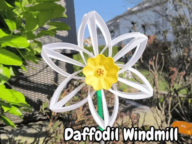 Windmill Daffodil (Osterglocken)