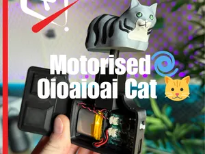 Motorised Oioaioai Cat