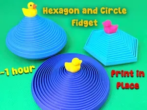 Duck Pond A-Gon Circle and Hexagon Fidget Toy