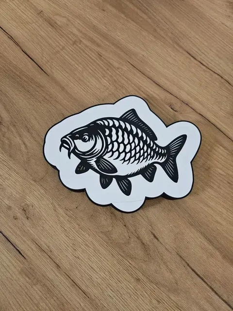 Carp Lightbox — Фото 2 из 3