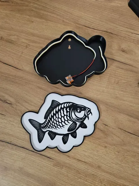 Carp Lightbox — Фото 3 из 3