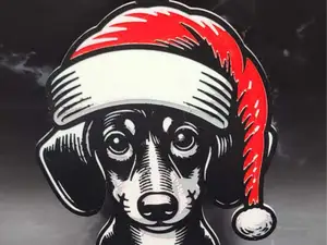 Ornement de Noël Chien saucisse