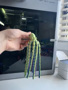 Octopus Long Tentacles