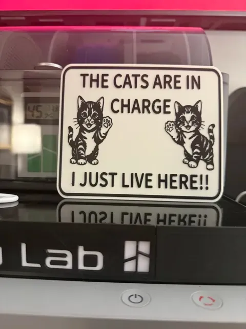 THE CATS ARE IN CHARGE, I JUST LIVE HERE — Фото 4 из 4