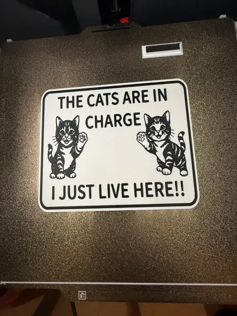THE CATS ARE IN CHARGE, I JUST LIVE HERE — Фото 2 из 4