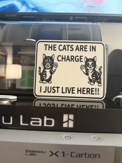 THE CATS ARE IN CHARGE, I JUST LIVE HERE — Фото 3 из 4