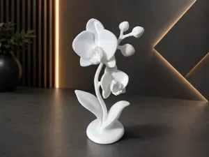 Orchid decor