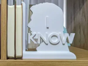 I love you, I know - Star Wars inspired Bookends