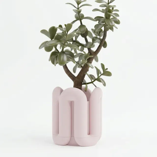 Wibble Aesthetic Planter with Drip Tray — Фото 2 из 17