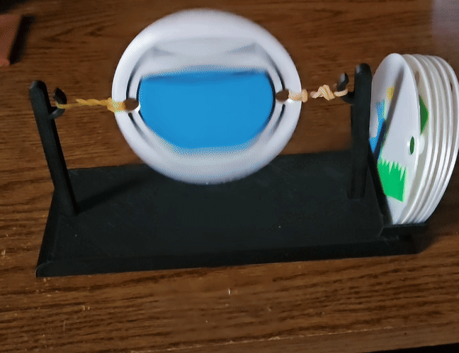 thaumatrope optical illusion