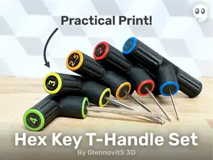 Hex-key T-Handle Set (metric - customize tools)