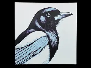 Magpie