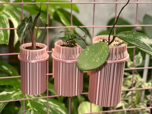 Plant holder