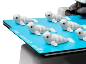 Cute Beluga Whale