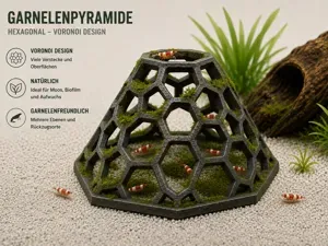 Voronoi Shrimp Pyramid | Moss Hideout