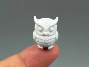 Pocket Smallest Owl