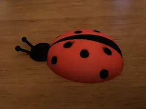 Lady Bug Pin