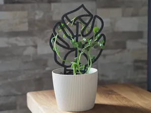 Support for plants/Plant Trellis Monstera