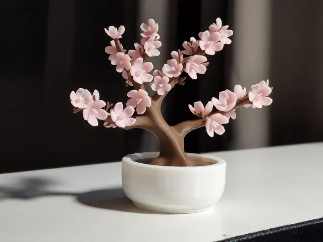 Sakura Bonsai – Realistic Blossom - Spring cherry