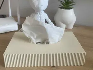 Modern Ribbed Tissue Box Cover