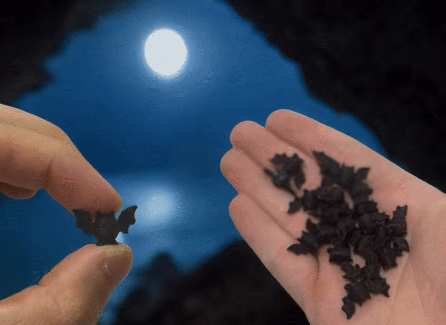 Lil' Bats