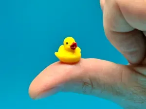 mini micro little duck