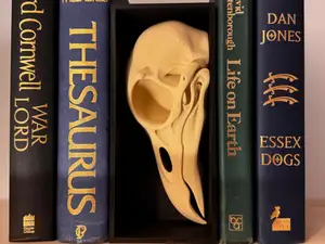 Raven Skull Book Nook Insert – Gothic Bookshelf