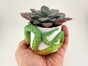 vase plant pot for succulent