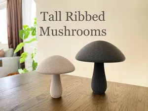 Tall Ribbed Mushrooms