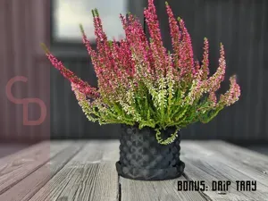 Ultimate Modern Elegance: Bubbles flower pot